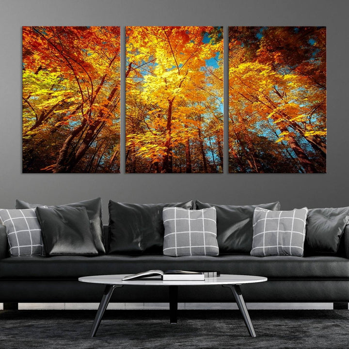 Forest View at Fall Wall Art Autumn Colors Landscape Canvas Print