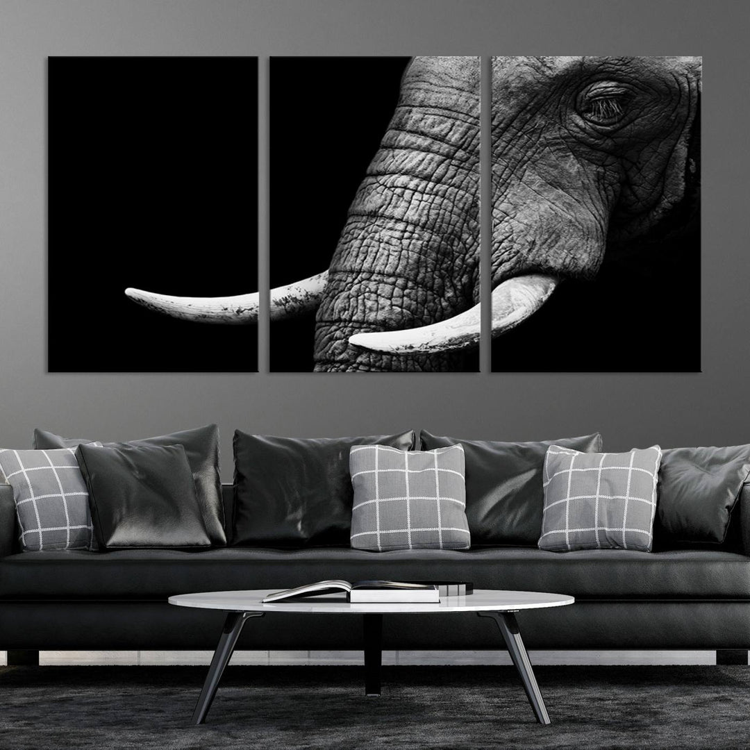 Wall Art Animal Canvas Print Close Taken Elephant with Big Ivories