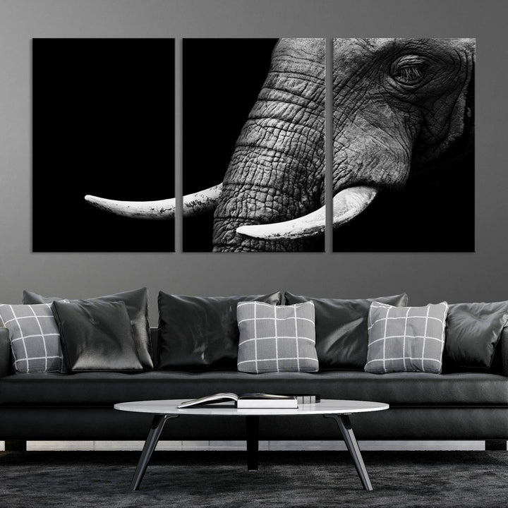 Impresión de lienzo de animales de arte de pared grande - Elefante tomado de cerca con grandes marfiles