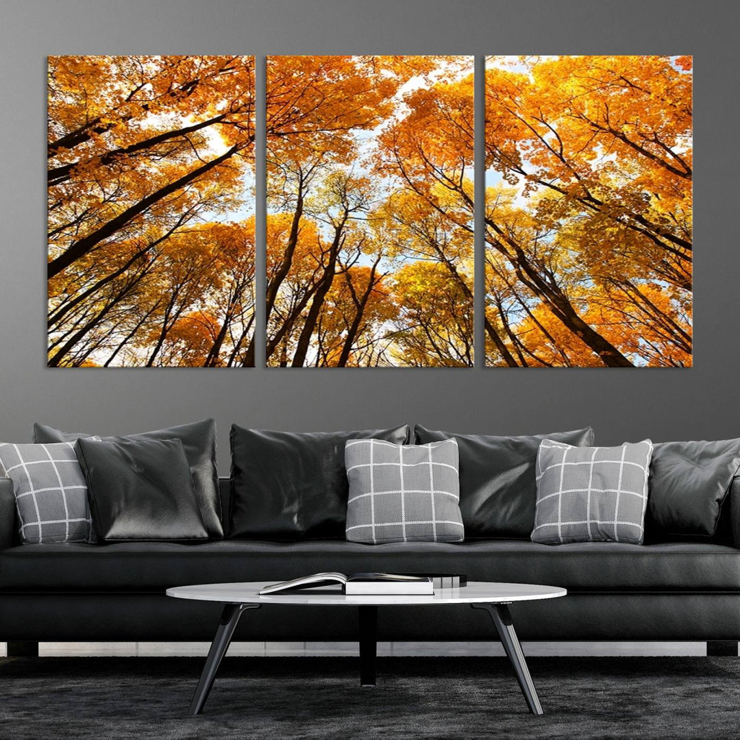 Wall Art Yellow Forest and Sky in Autumn Canvas Print