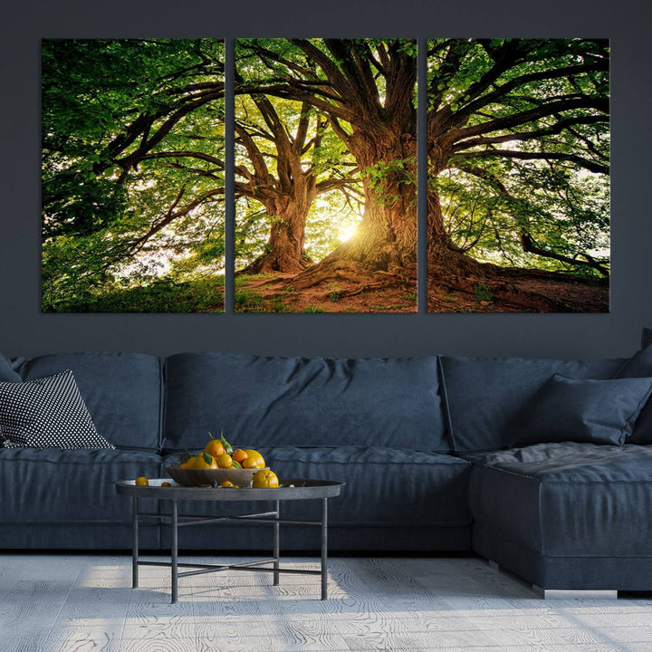 Majestic Ancient Tree Wall Art, Nature-Inspired Canvas Print, Woodland Art, Tree of Life Artwork, Sunlit Forest, Giclee Nature Print