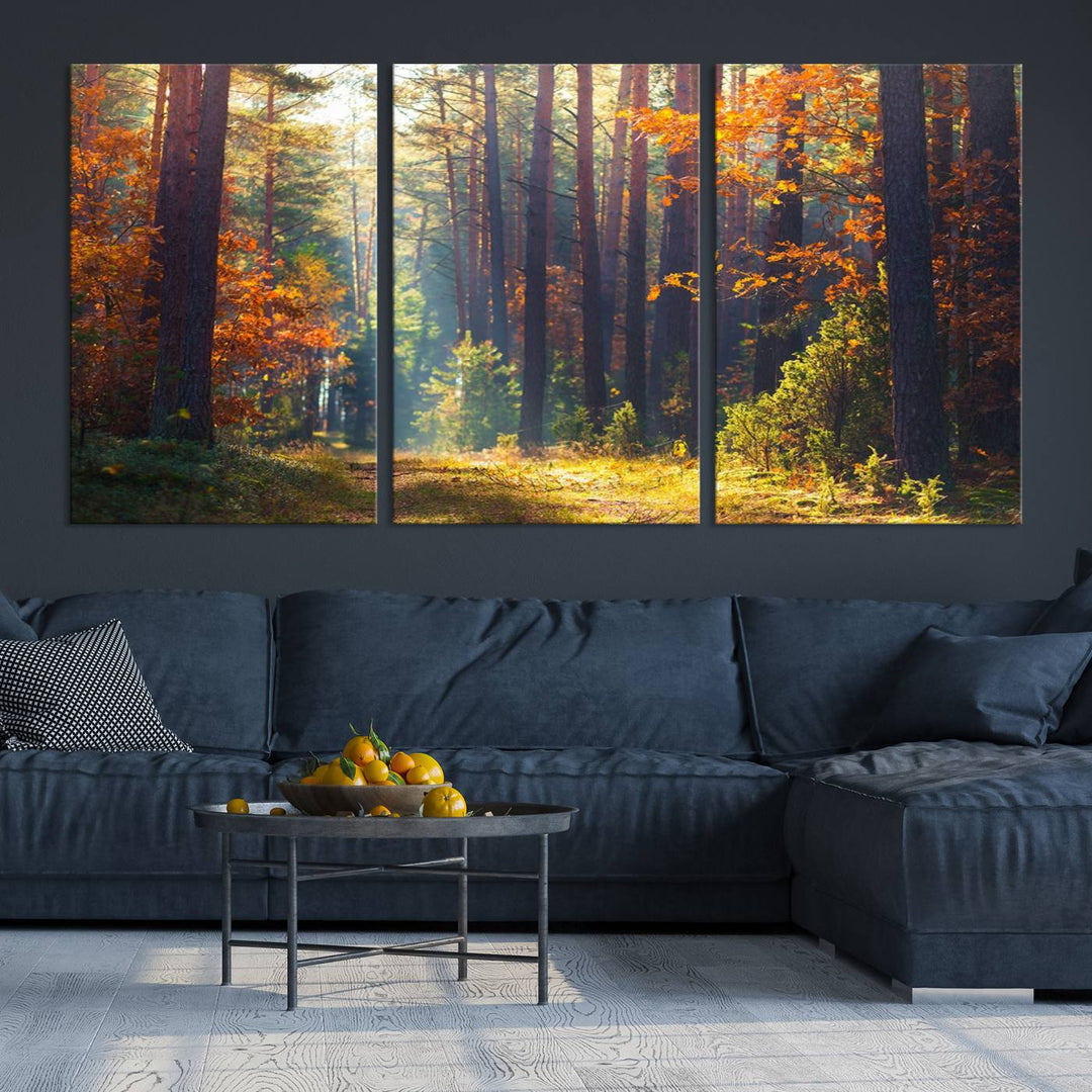 Forêt Sunshine Wall Art Impression sur toile