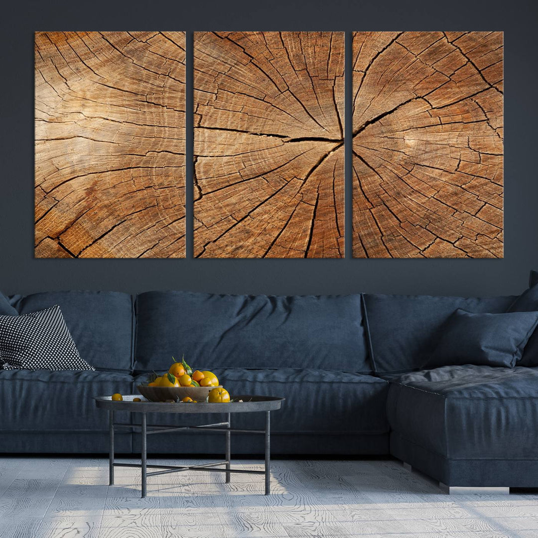 The stunning multi-panel wall art piece, the Tree Ring Canvas Art, features intricate rustic wood grain textures. This giclee triptych hangs elegantly on the wall.