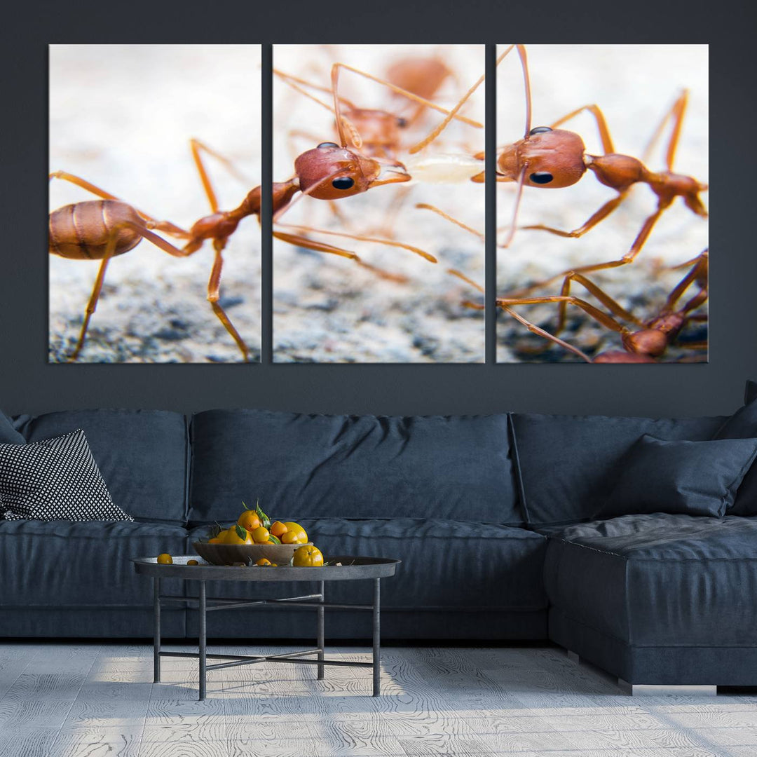 The "Ants Wall Art Canvas Print" features two ants facing each other, beautifully presented across three panels on museum-quality canvas with a UV-protective coating.