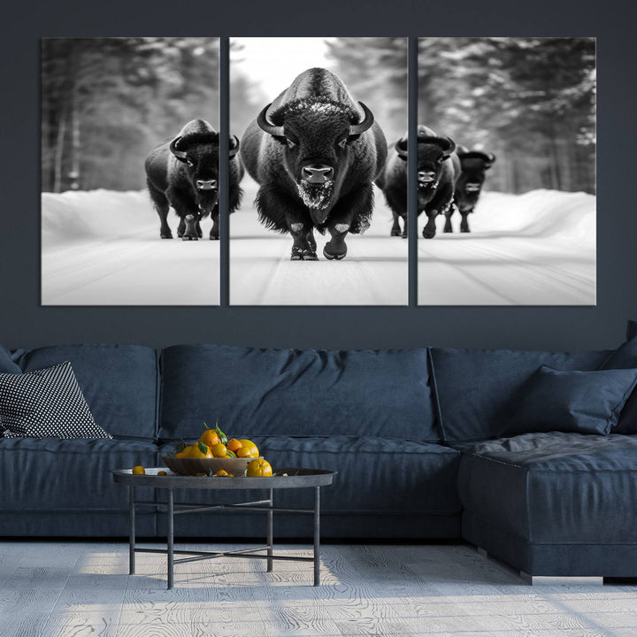 Buffalo Wall Art Canvas Print, Bison Wall Art Canvas Print