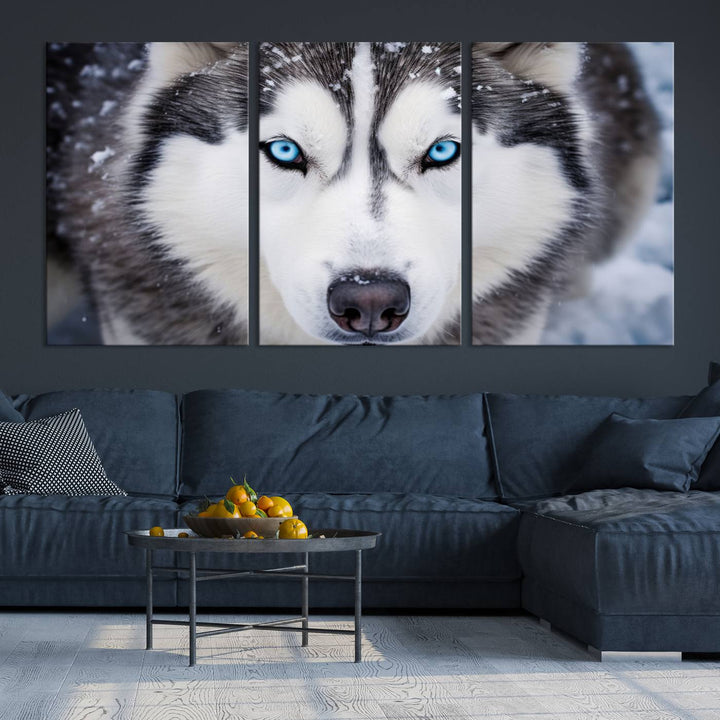 A large framed Winter Siberian Husky Wolf Wall Art Canvas Print, an exquisite piece of animal portrait decor, hangs prominently on the wall.