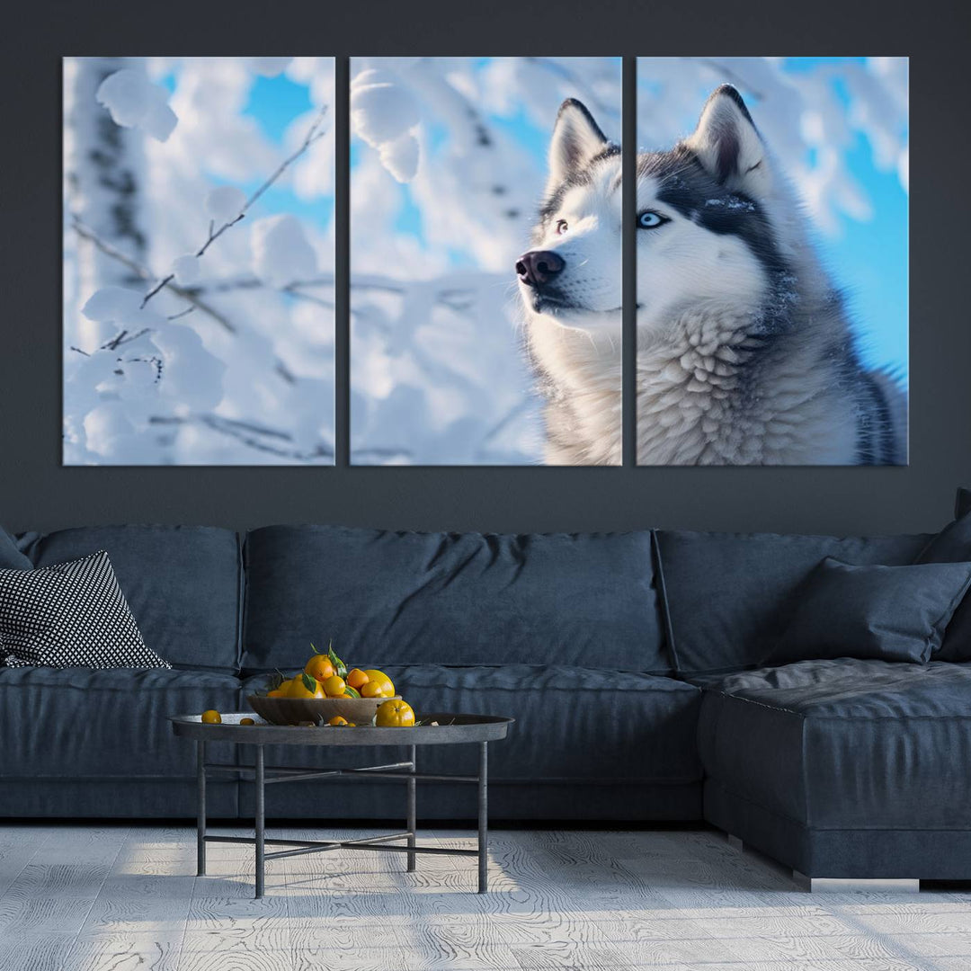 The Siberian Husky Art Canvas elegantly enhances the room.