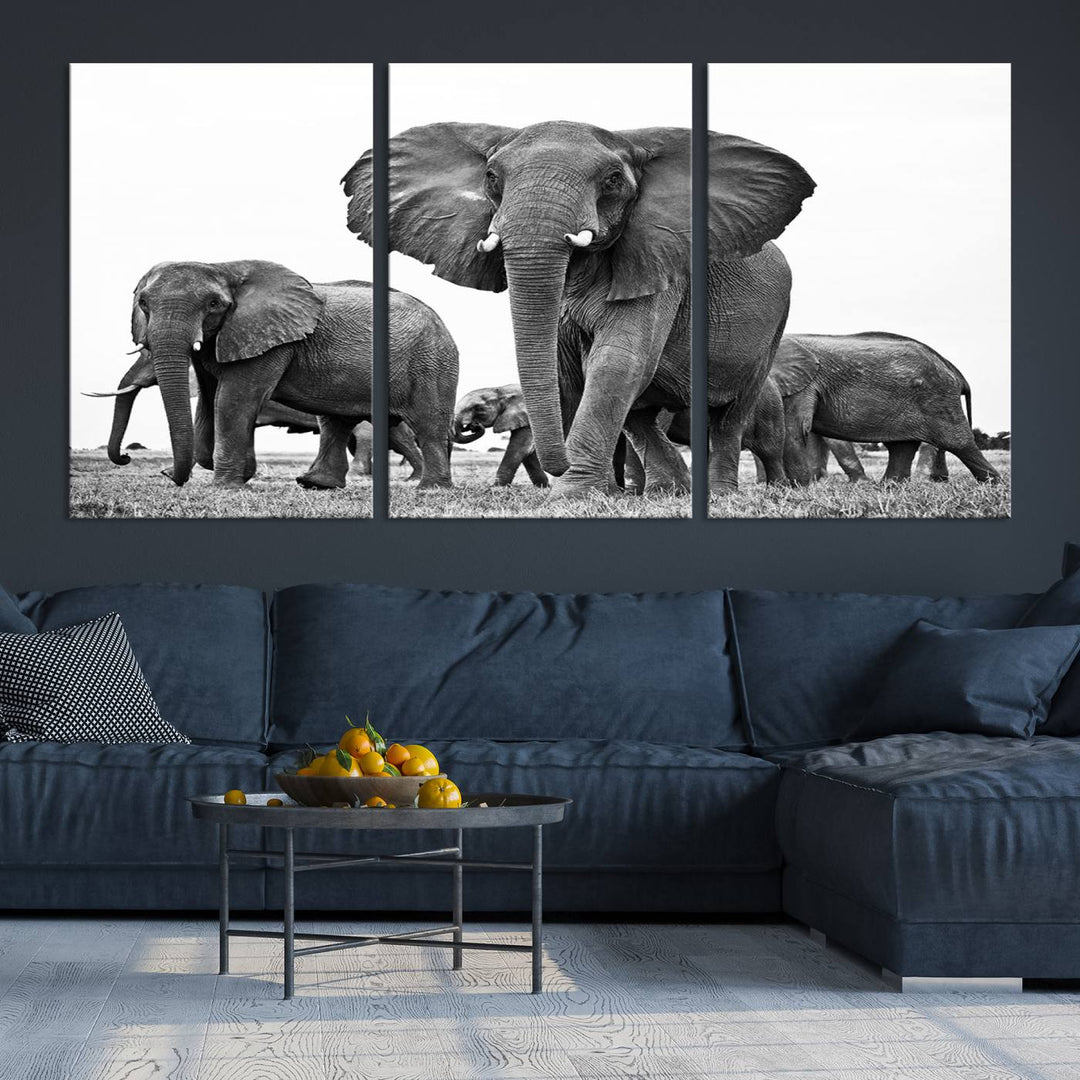 The Black White Elephant Family Wall Art Canvas Print features a triptych of elephants walking in the wild, crafted as gallery-quality wall art on premium canvas.