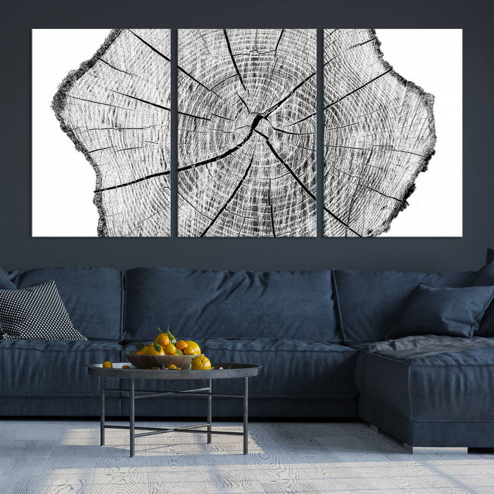 Rustic Tree Ring Wall Art Canvas Print – Framed and Ready to Hang – Perfect for Nature-Inspired and Minimalist Décor 