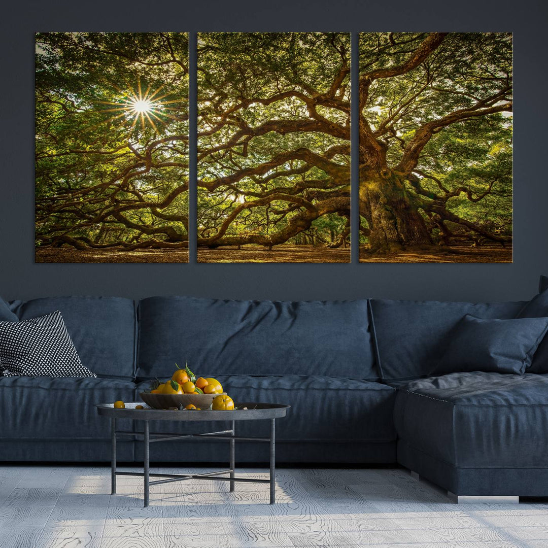 Ancient Angel Oak Tree Sunburst Wall Art - Nature-Inspired Triptych Canvas Print, Framed, Ready to Hang