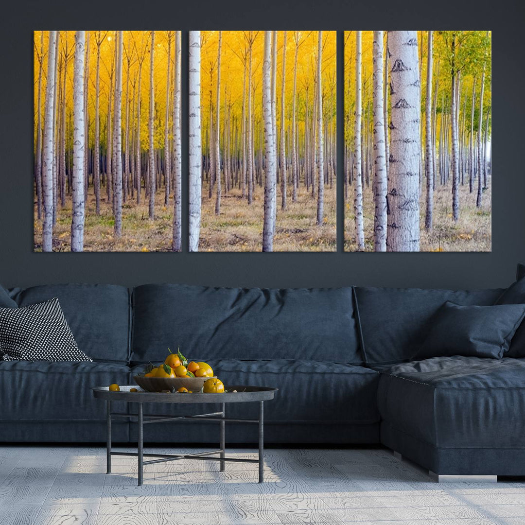 Birch Trees Forest in Autumn Wall Art Print