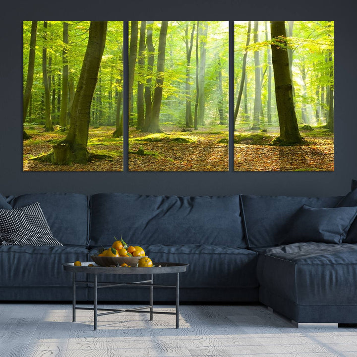 Wall Art Landscape Canvas Print Sunshine in Green Forest