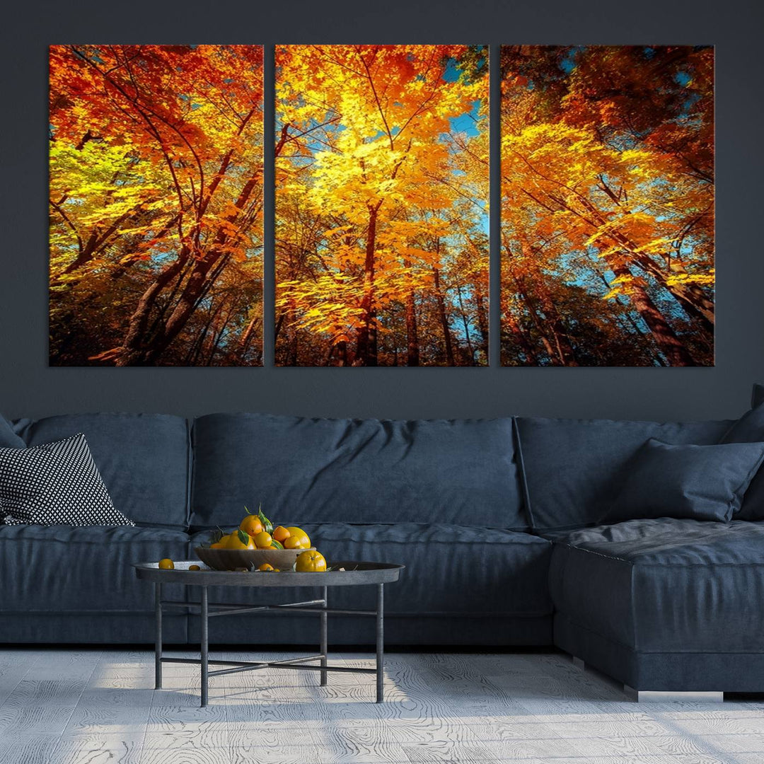 Forest View at Fall Wall Art Autumn Colors Landscape Canvas Print