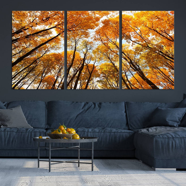 Wall Art Yellow Forest and Sky in Autumn Canvas Print