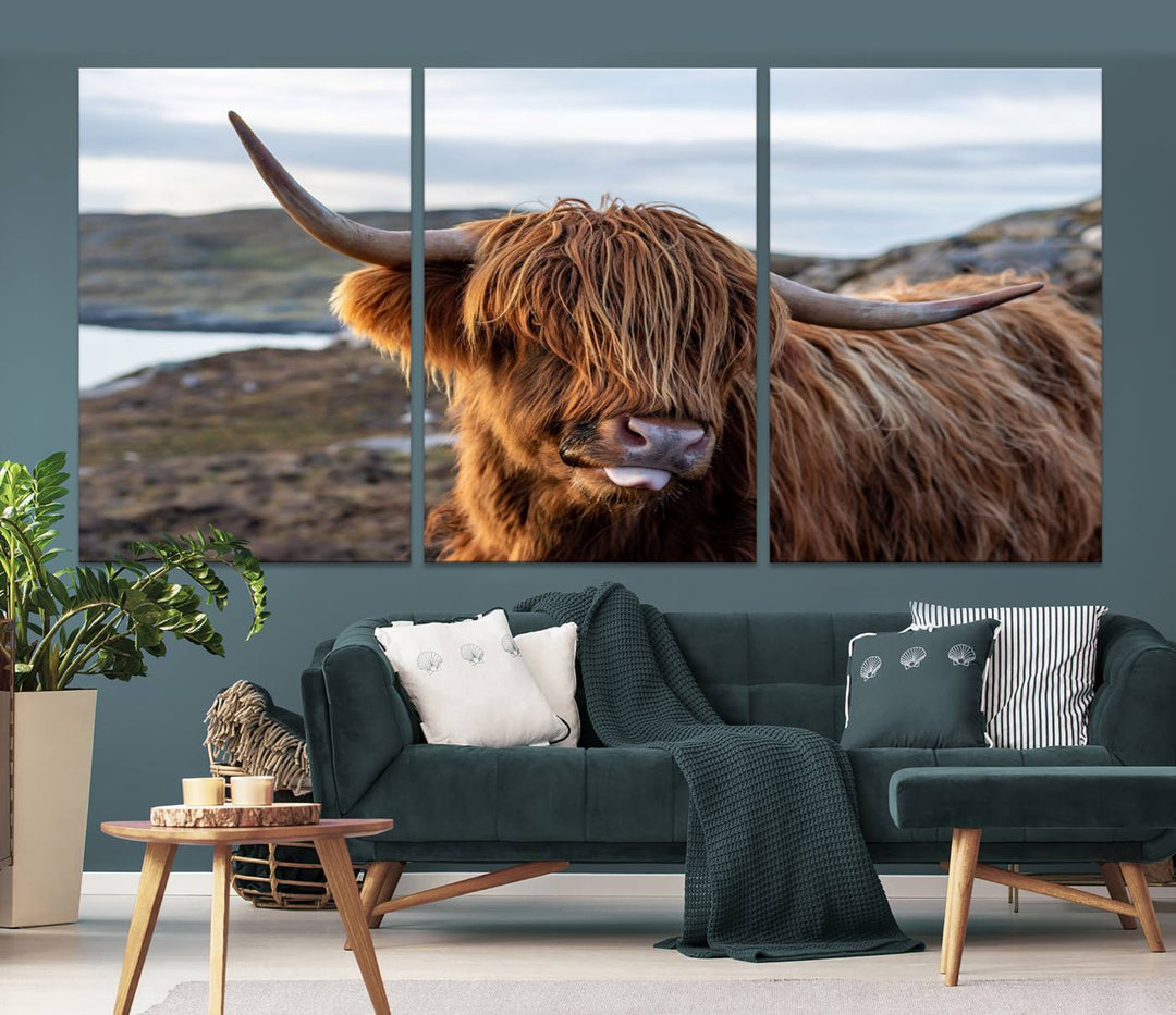 Cuddly Highland Cow Canvas Photo Wall Art Print Highlands Art Cute Animal Wall Art