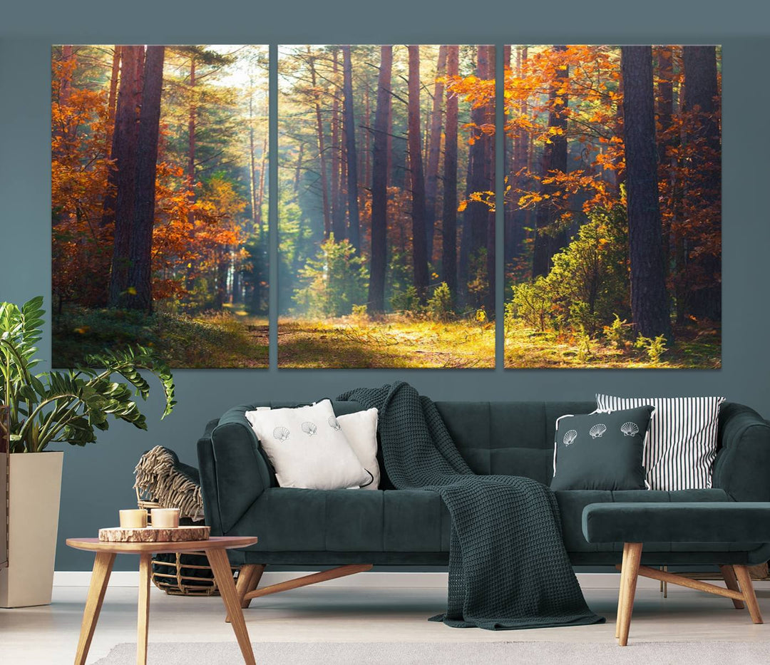 Forêt Sunshine Wall Art Impression sur toile