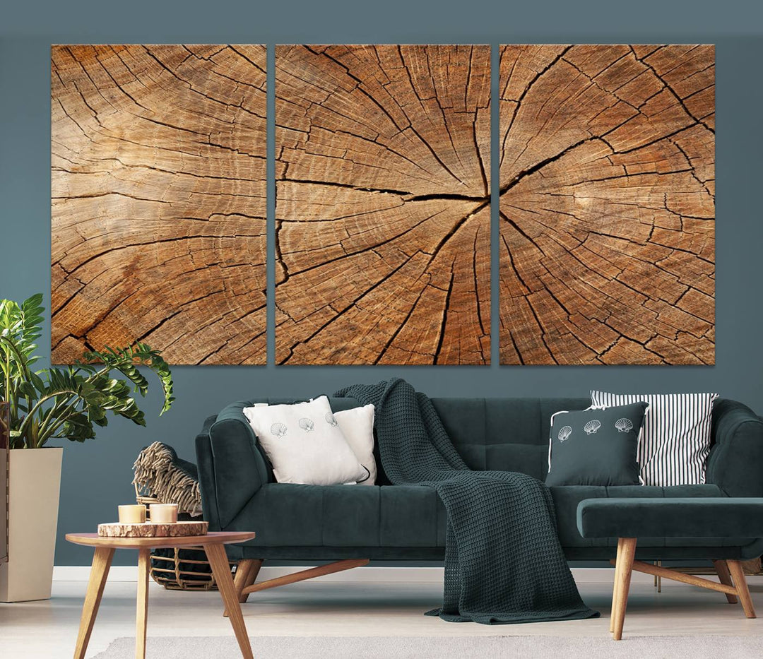 The stunning multi-panel wall art piece, the Tree Ring Canvas Art, features intricate rustic wood grain textures. This giclee triptych hangs elegantly on the wall.