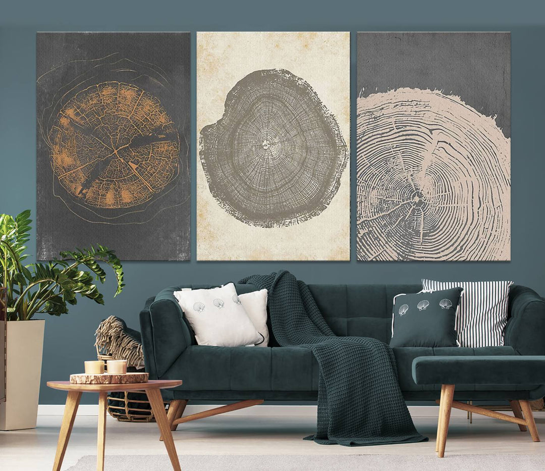 Boho Tree Ring Wall Art, Modern Minimalist Wood Grain Canvas, Tree Slice for Rustic Decor, Farmhouse Decor Giclee Canvas Print, Tree Ring Canvas Set 