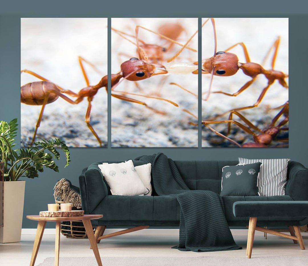 The "Ants Wall Art Canvas Print" features two ants facing each other, beautifully presented across three panels on museum-quality canvas with a UV-protective coating.