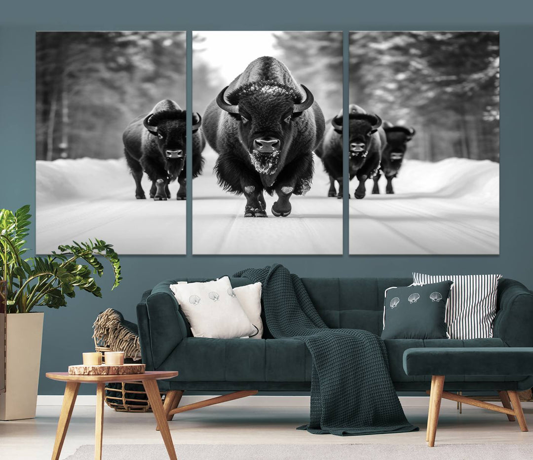 Buffalo Wall Art Canvas Print, Bison Wall Art Canvas Print