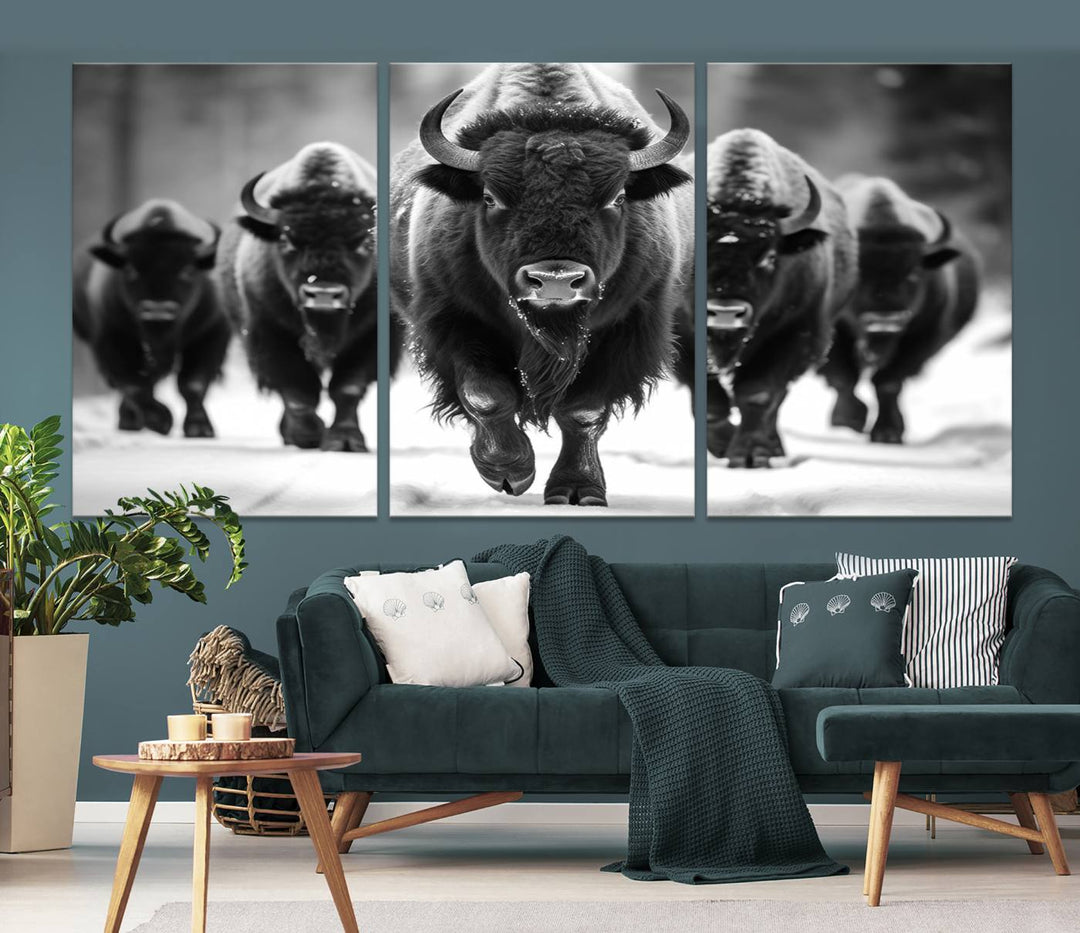 A modern living room features a striking black-and-white American Bison Art | Buffalo Herd Wall Art Canvas Print on the wall.