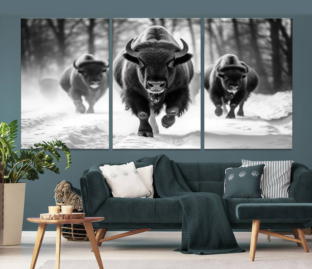 Transform your living room with the Buffalo Wall Art Canvas Print triptych, showcasing a bison family in motion across a snowy landscape. This striking Western decor piece becomes the focal point of any room.