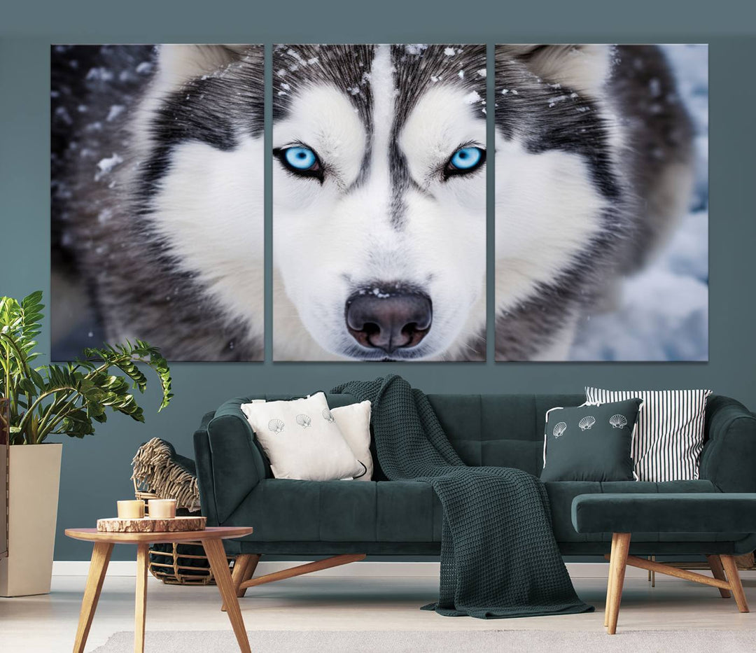 A large framed Winter Siberian Husky Wolf Wall Art Canvas Print, an exquisite piece of animal portrait decor, hangs prominently on the wall.