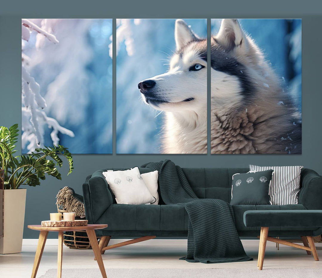 A captivating Winter Siberian Husky Wolf Wall Art Canvas Print hangs prominently.