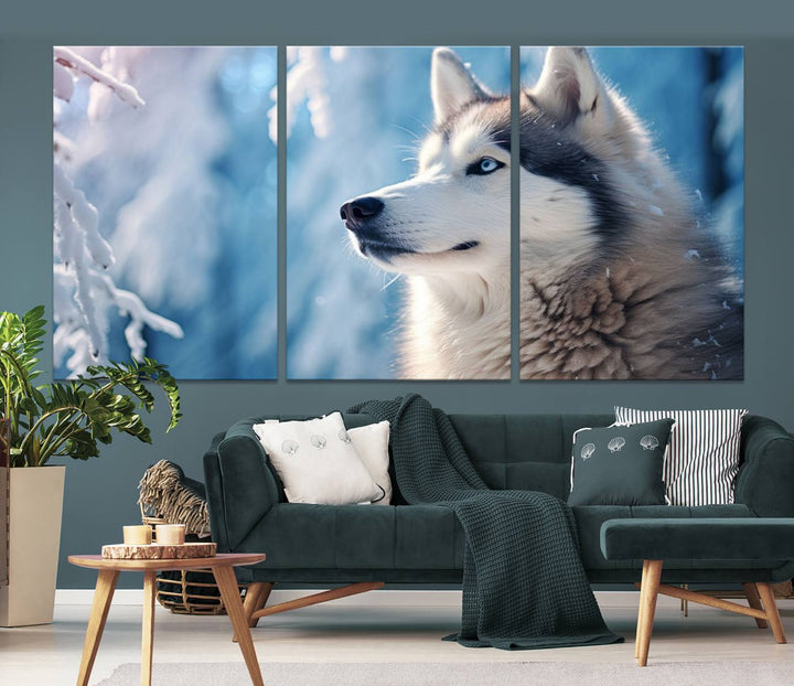 A captivating Winter Siberian Husky Wolf Wall Art Canvas Print hangs prominently.