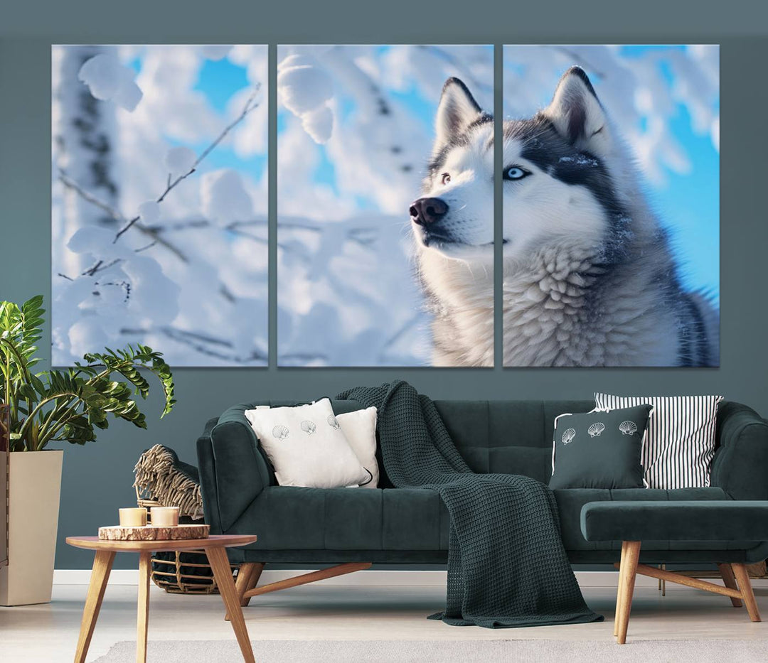 The Siberian Husky Art Canvas elegantly enhances the room.