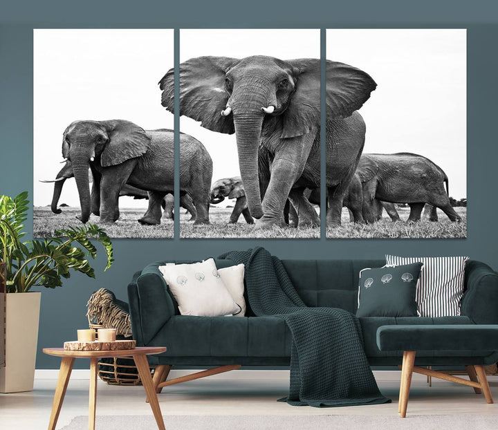 The Black White Elephant Family Wall Art Canvas Print features a triptych of elephants walking in the wild, crafted as gallery-quality wall art on premium canvas.