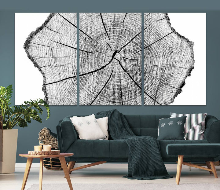 Rustic Tree Ring Wall Art Canvas Print – Framed and Ready to Hang – Perfect for Nature-Inspired and Minimalist Décor 