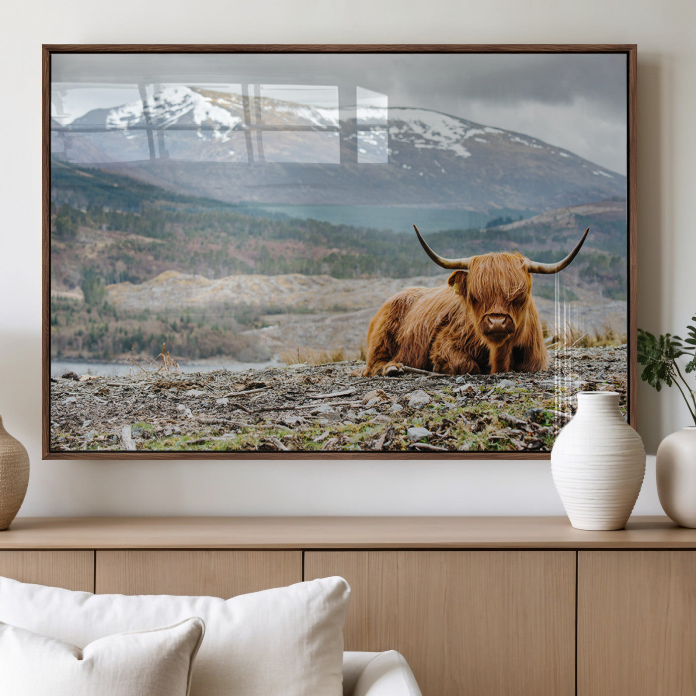80252-MGV-FP-36X24-3P_Walnut-Highland Cow Horn Farm Wall Art Canvas Print