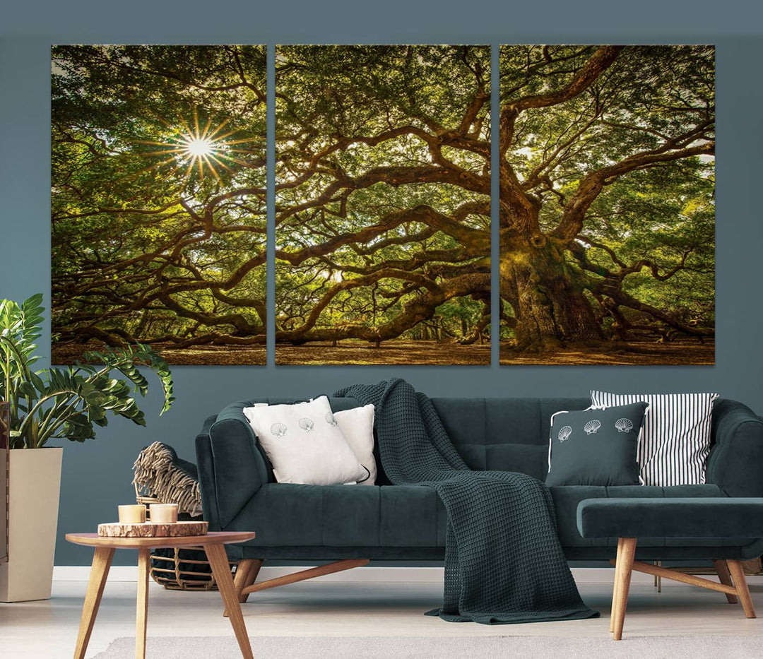 Ancient Angel Oak Tree Sunburst Wall Art - Nature-Inspired Triptych Canvas Print, Framed, Ready to Hang