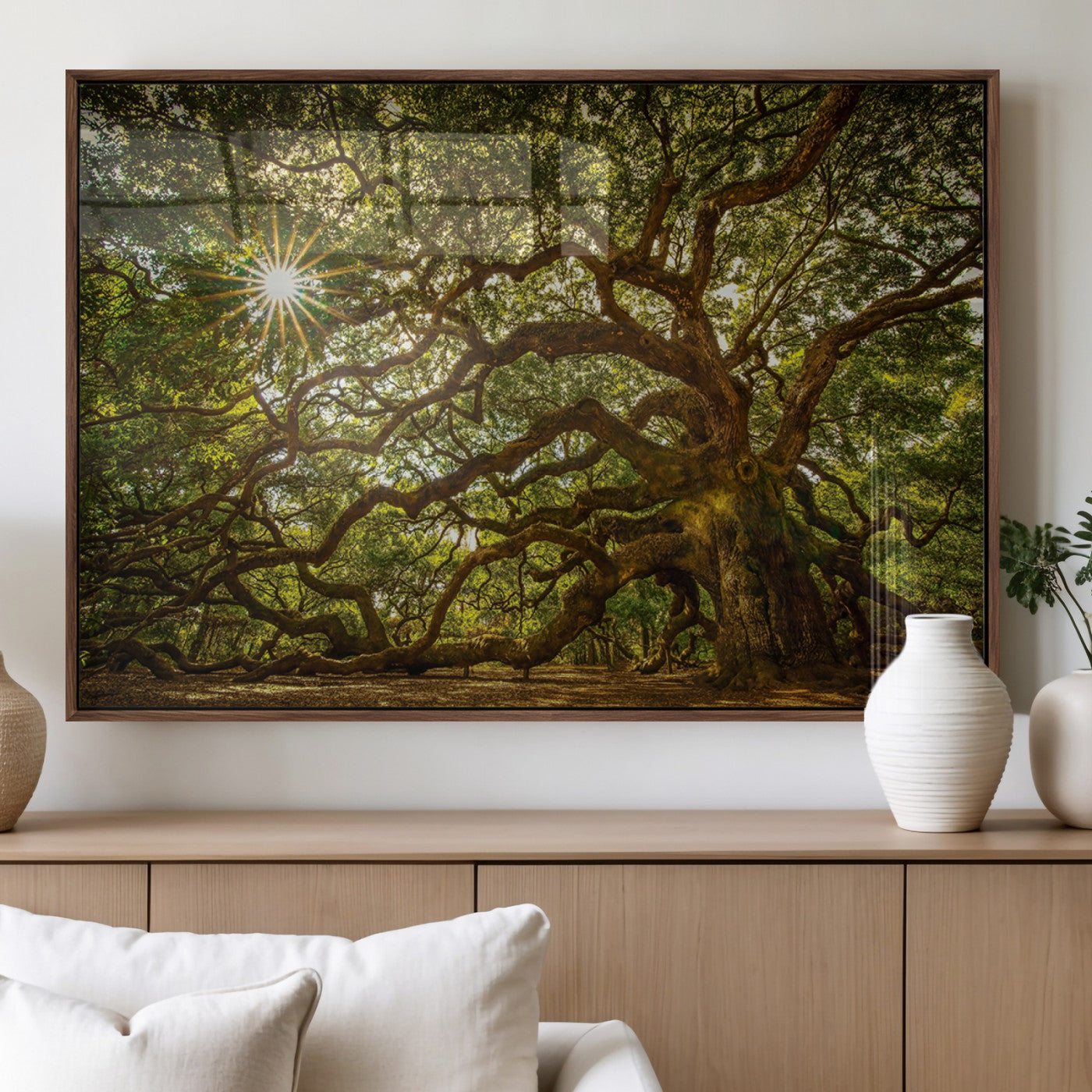 MGV-FP-36X24-3P - Ancient Angel Oak Tree Art Sunburst Canvas Print- Nature-Inspired Triptych Canvas Print, Framed,