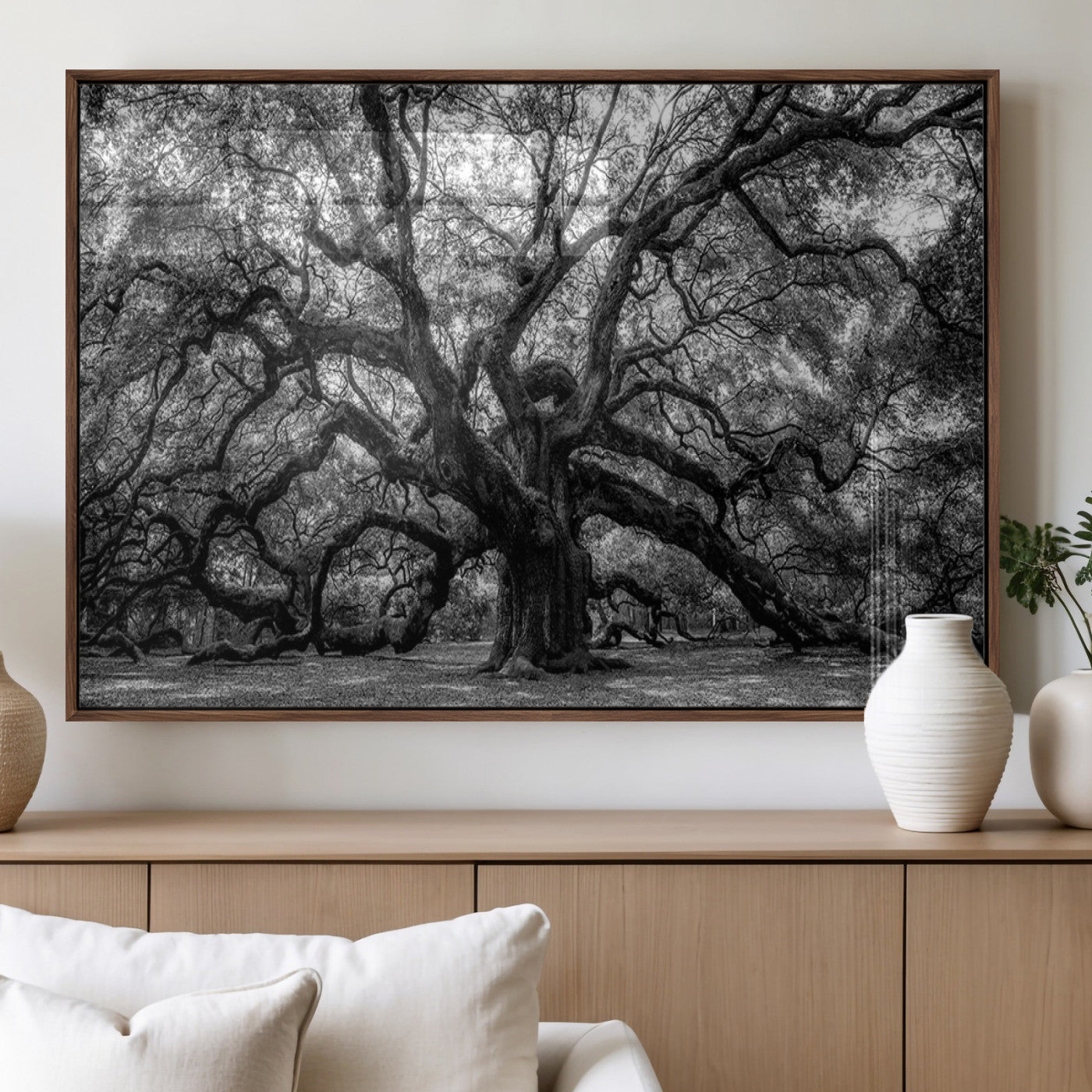 MGV-FP-60X30-3P - Black and White Old Angel Oak Tree Wall Art Canvas Print