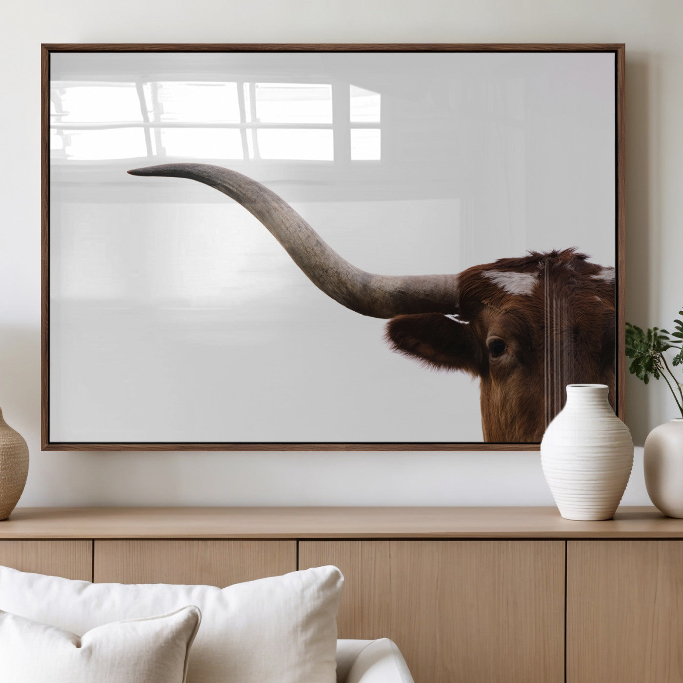 Close-up of Texas Longhorn horn and eye on white background, perfect for minimalist or modern farmhouse style wall decor.