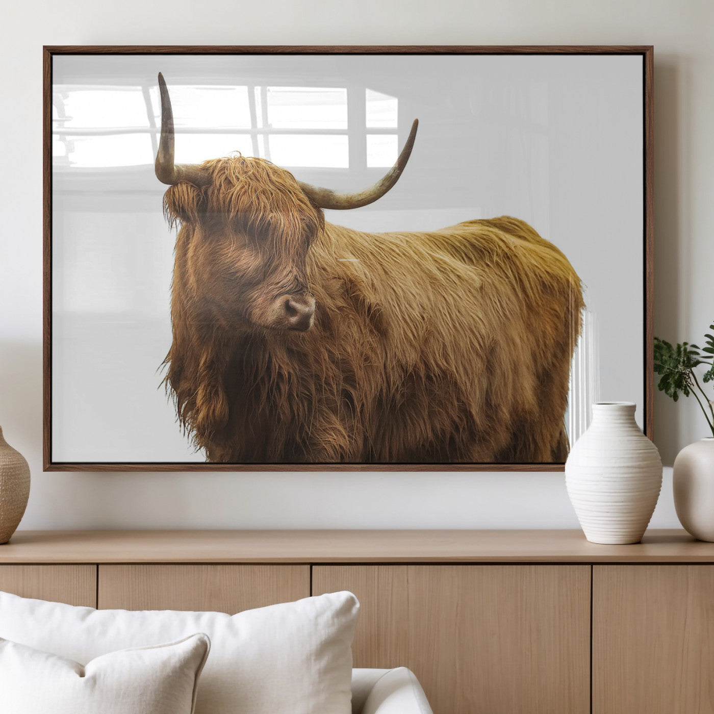 A highland cow with long horns and shaggy fur standing calmly, isolated on white background, ideal for rustic or farmhouse wall decor.