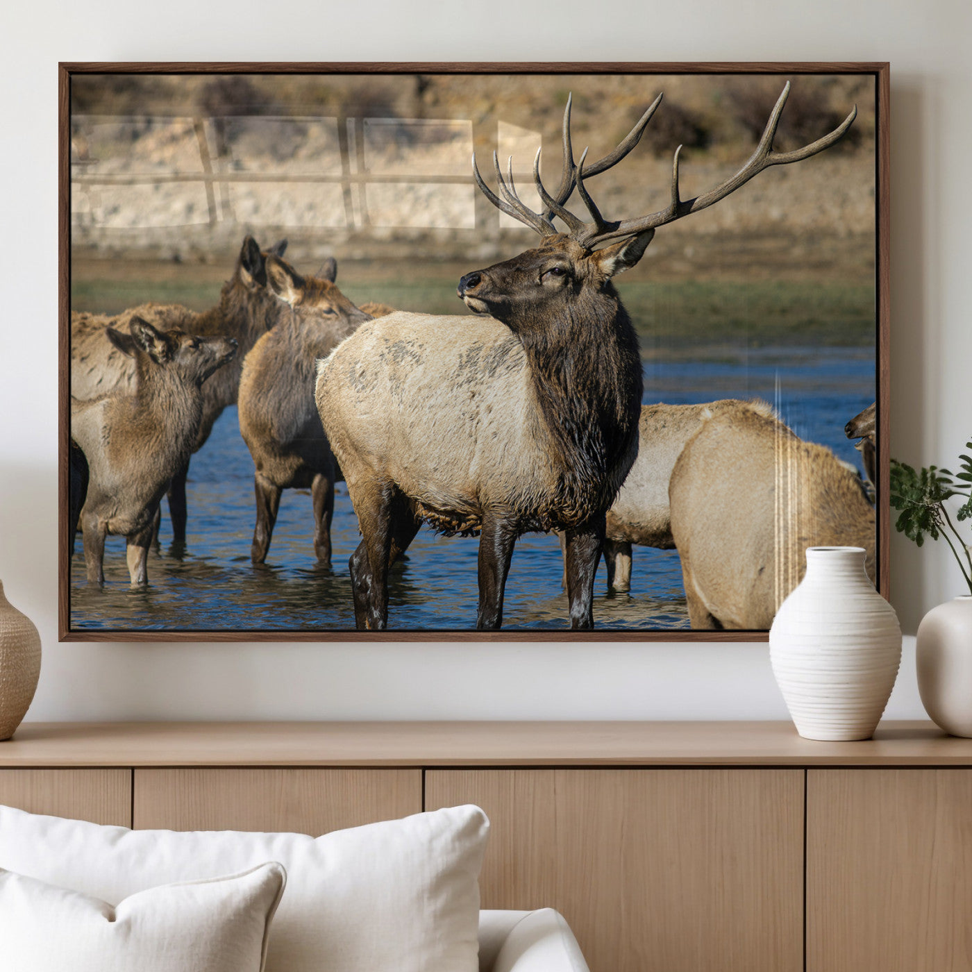 Group of elk standing in shallow water with dry rocky terrain in the background, showcasing wildlife in a natural setting for rustic decor.