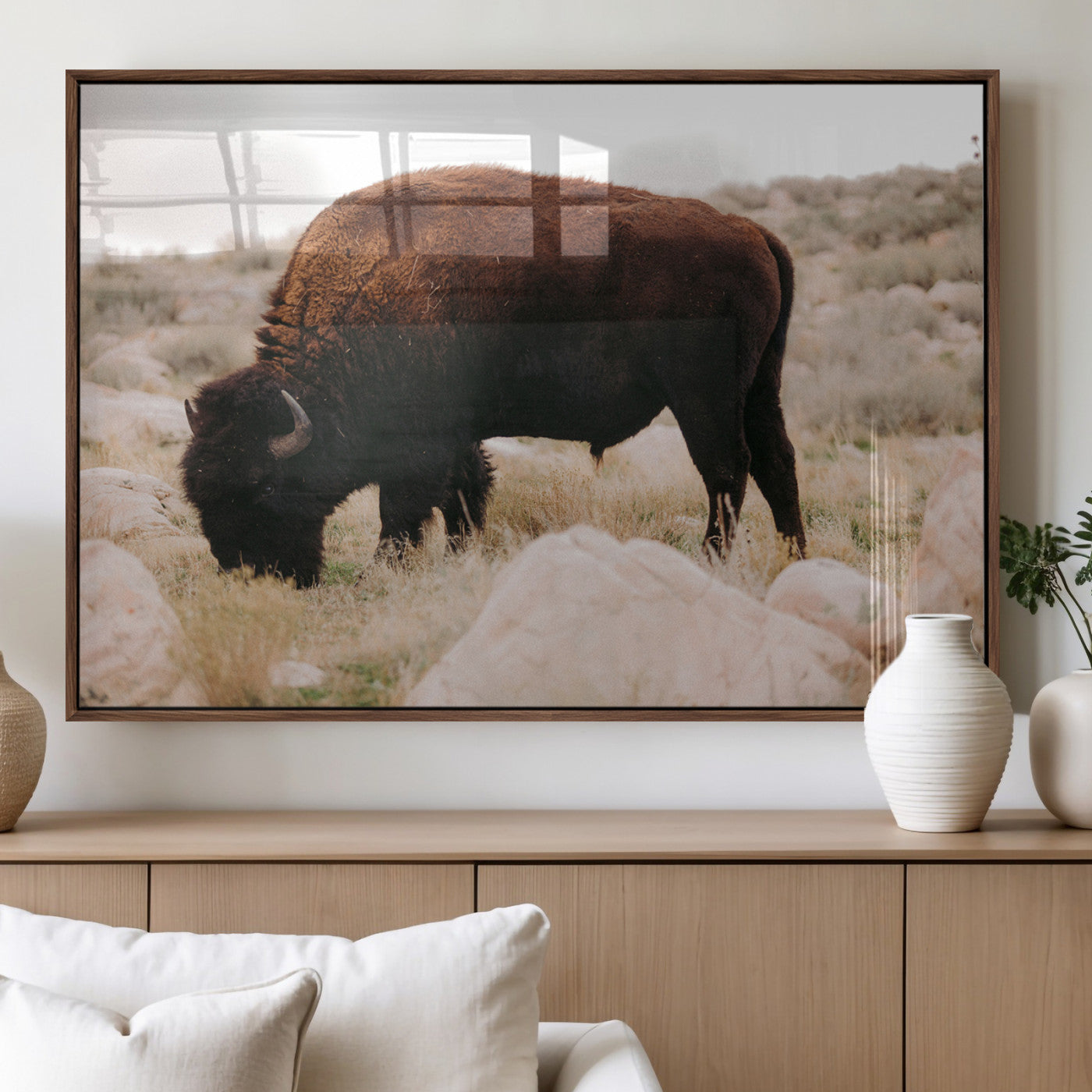 A solitary bison grazing in a rugged prairie with earthy tones and scattered rocks, capturing the essence of the American West for rustic decor.