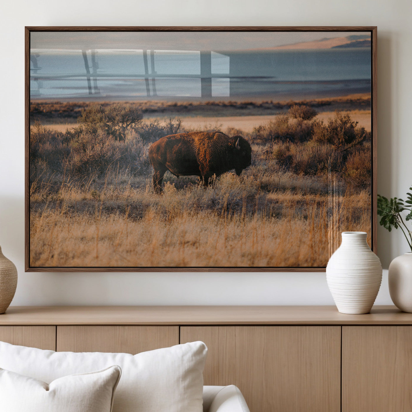 A lone bison grazing in golden prairie grass at sunset, with warm earthy tones and a distant lake view, perfect for rustic and western decor.