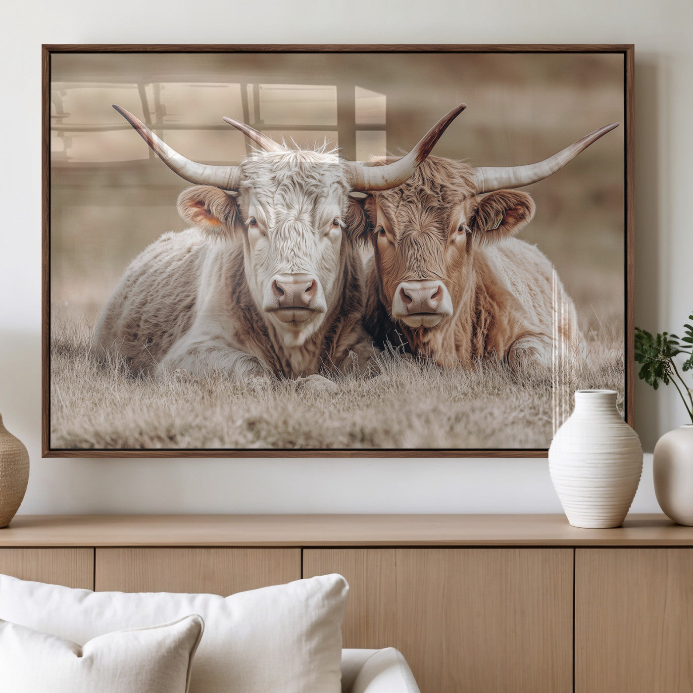 Two Highland cows with long horns lying side by side on a grassy field, featuring soft natural tones and a calm rural setting.