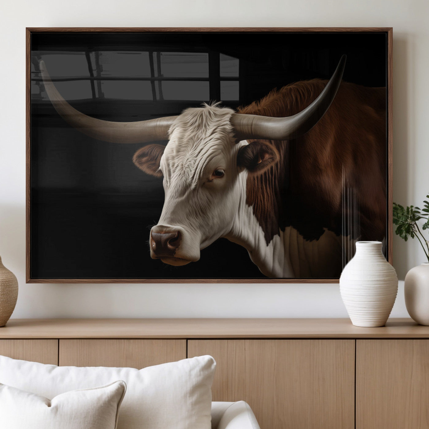 "Close-up of a brown and white longhorn cow with prominent curved horns against a black background."