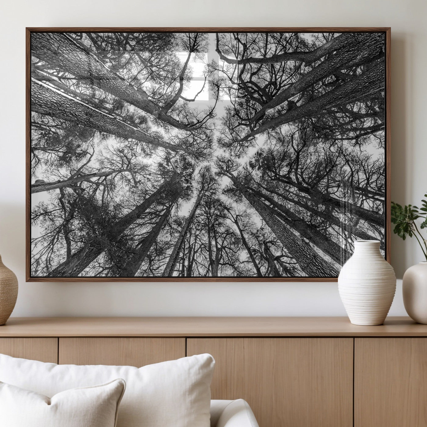 33934-MGV-FP-60X30-3P_Walnut-Trees Contemporary Art Canvas Print
