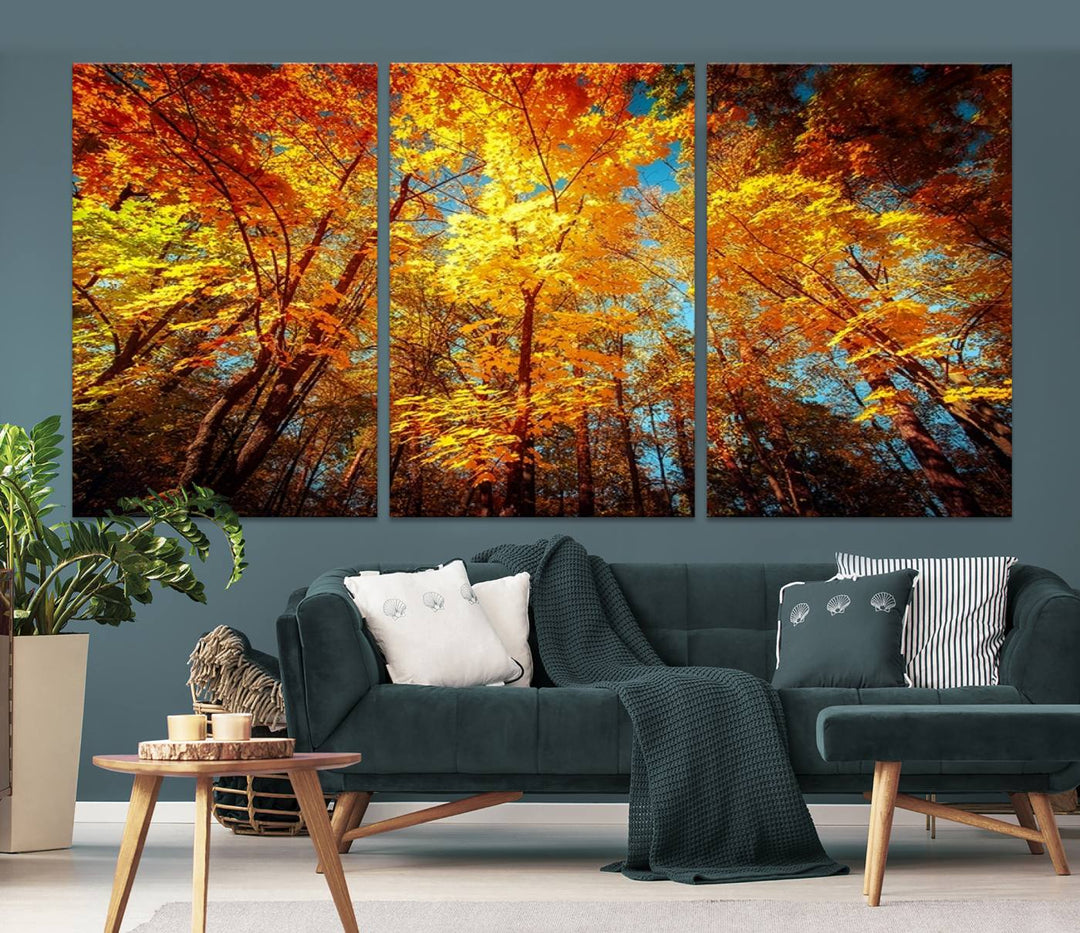 Forest View at Fall Wall Art Autumn Colors Landscape Canvas Print