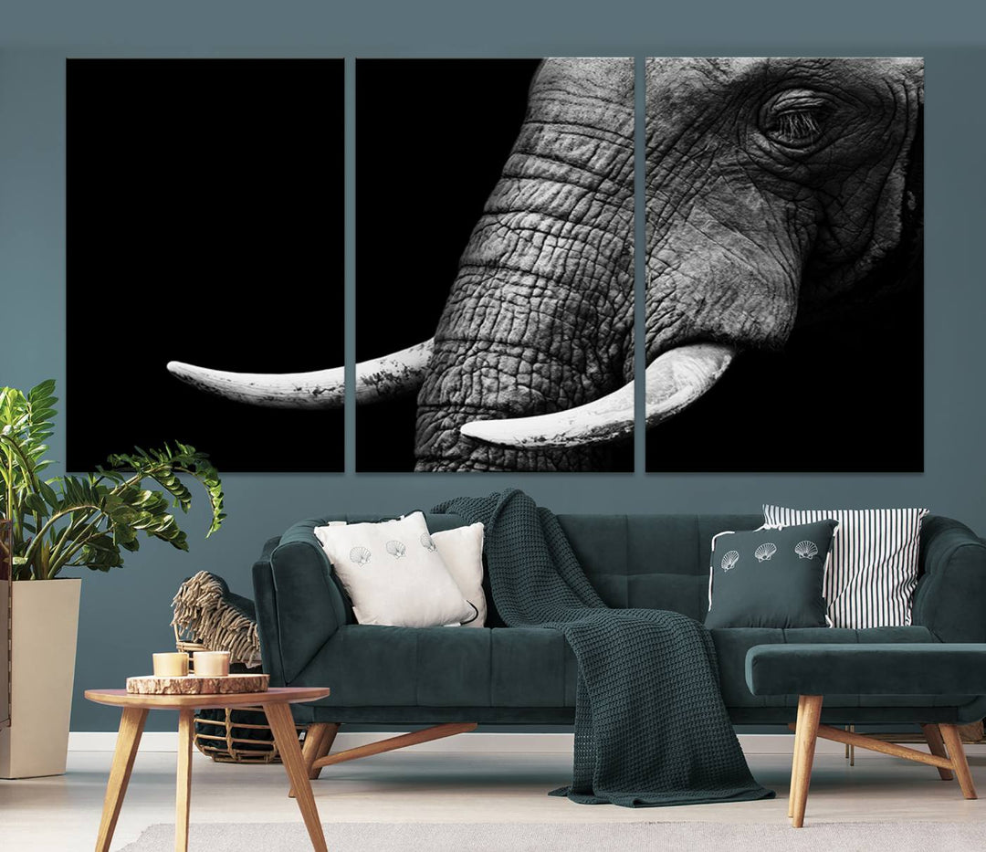 Wall Art Animal Canvas Print Close Taken Elephant with Big Ivories