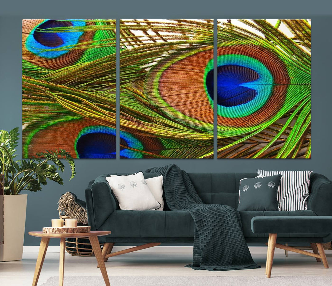 Wall Art Animal Canvas Print Triple Eyed Peacock Wing