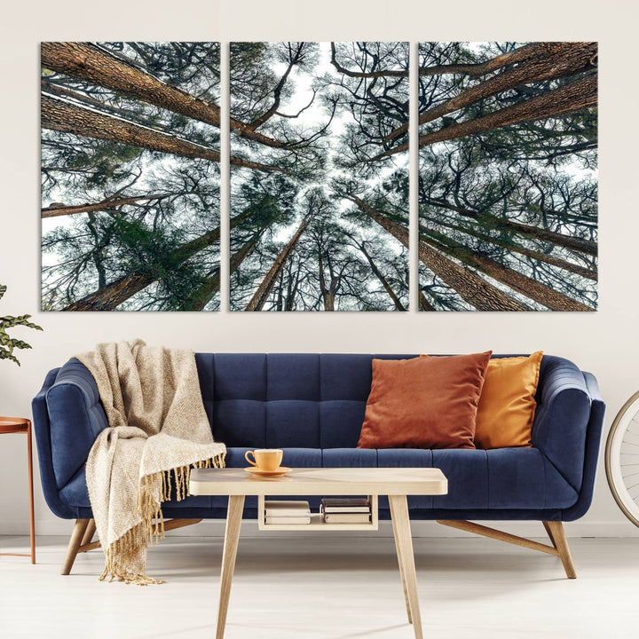 Impression sur toile d’art mural d’arbres forestiers