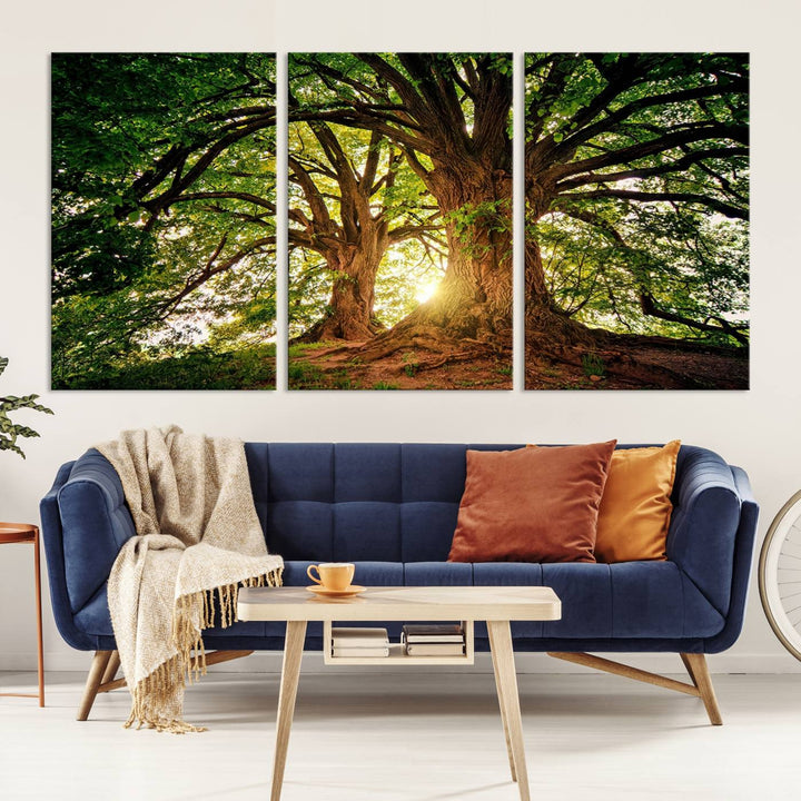 Majestic Ancient Tree Wall Art, Nature-Inspired Canvas Print, Woodland Art, Tree of Life Artwork, Sunlit Forest, Giclee Nature Print