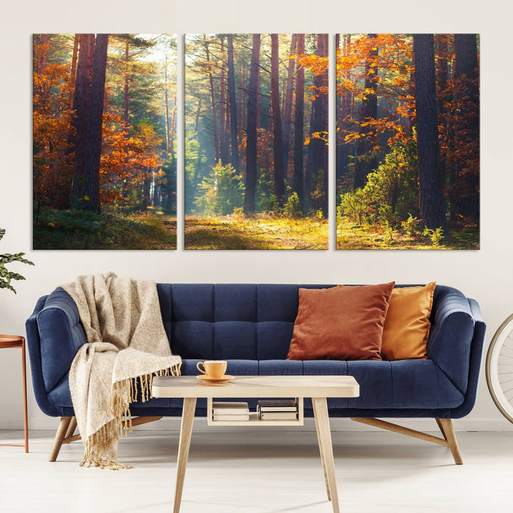 Forêt Sunshine Wall Art Impression sur toile